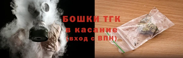 индика Армянск