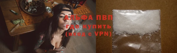индика Армянск
