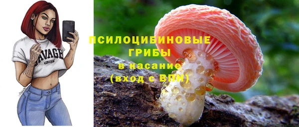 индика Армянск