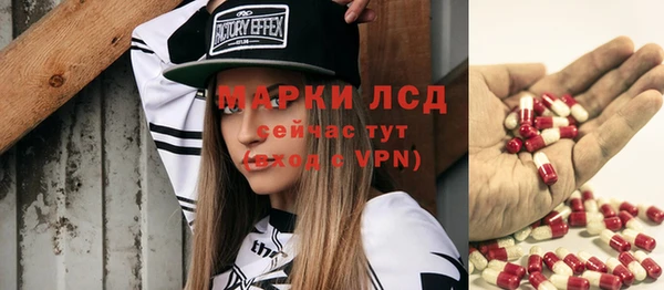 индика Армянск