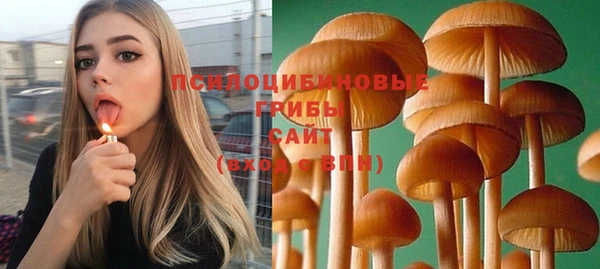 MDMA Premium VHQ Аркадак