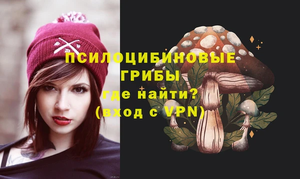 MDMA Premium VHQ Аркадак
